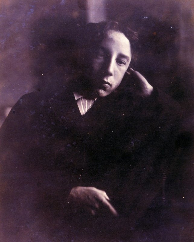 Henry Herschel Hay Cameron, aged fifteen · Julia Margaret Cameron, 1867 &mdash; the face of Linton Heathcliff on the Wuthering Heights family tree